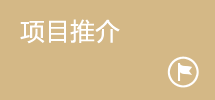 项目推介