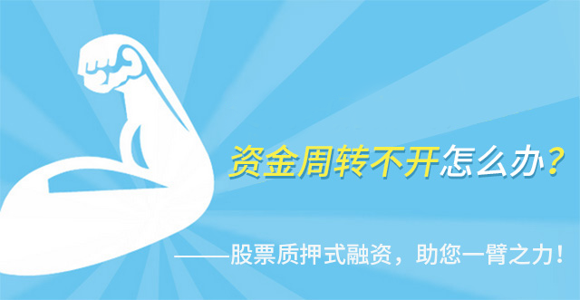 14.股票质押式回购交易业务的客户群体.jpg